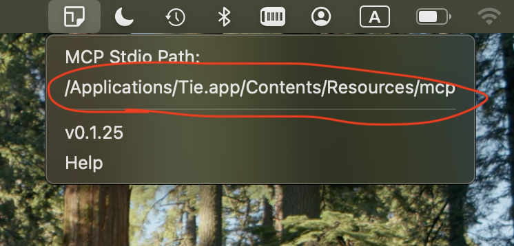 Get MCP Path